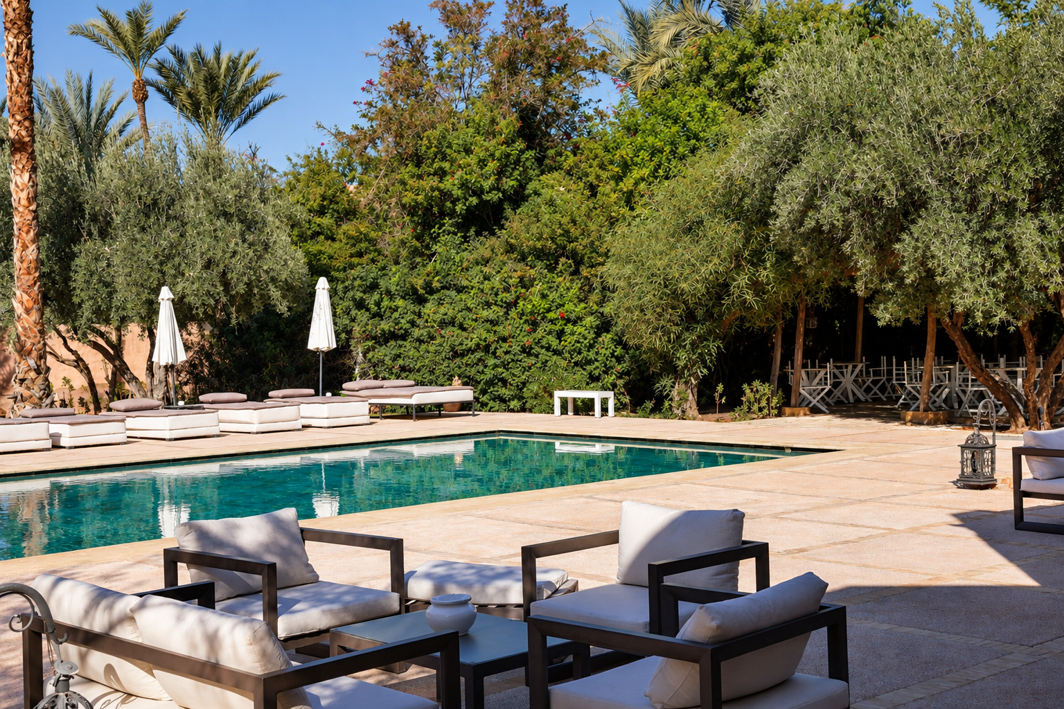 Piscine, transats gris et oliviers au soleil