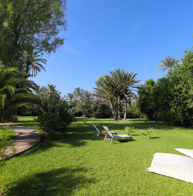 Garden- Villa Al Assala